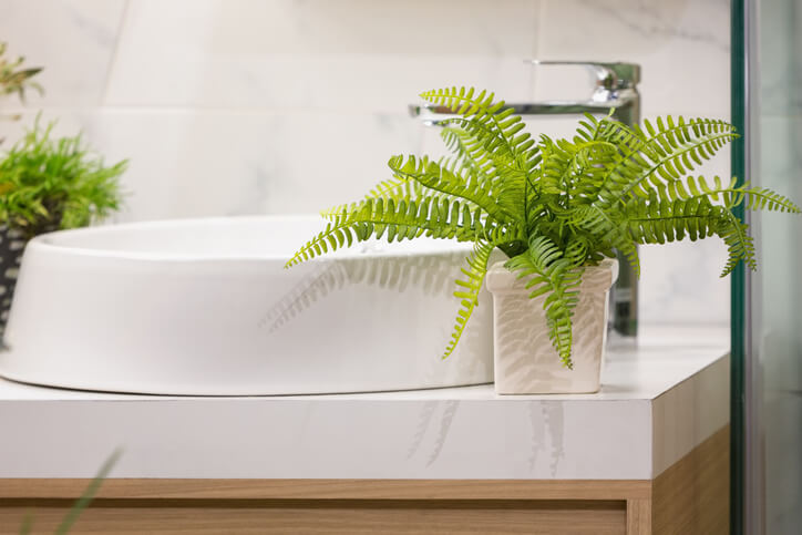 Bathroom vanity with house plant in white pot