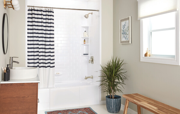 A bathroom featuring a medium-sized house plant