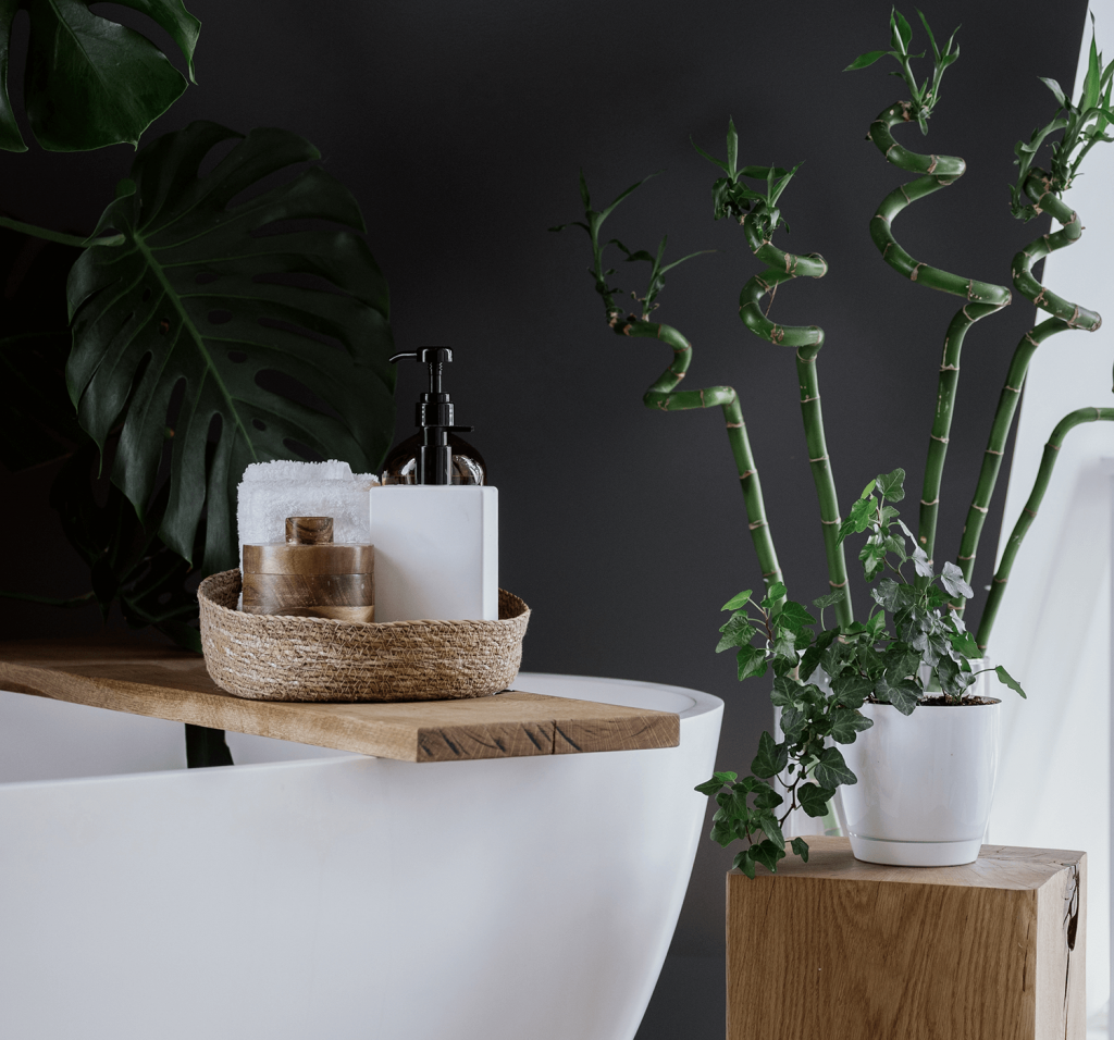 A baamboo plant sits on a wooden block beside a tub with bath products