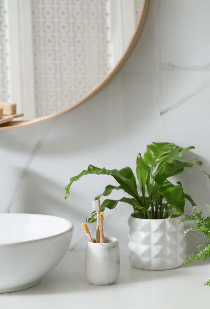 potted plant in white vases on a marble vanity