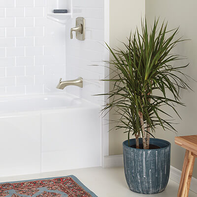 A potted plant is on the ground next to a white bathtub